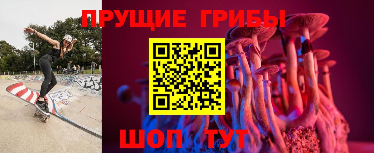 Псилоцибиновые грибы мицелий  Вход с VPN  Галлюциногенные грибы мицелий  Камышлов 