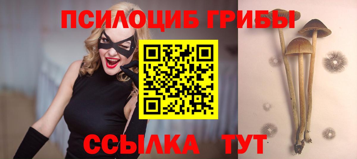 Галлюциногенные грибы прущие грибы Камышлов