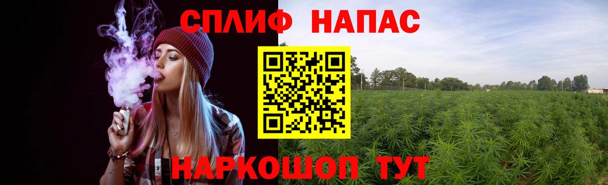 Каннабис гибрид Камышлов